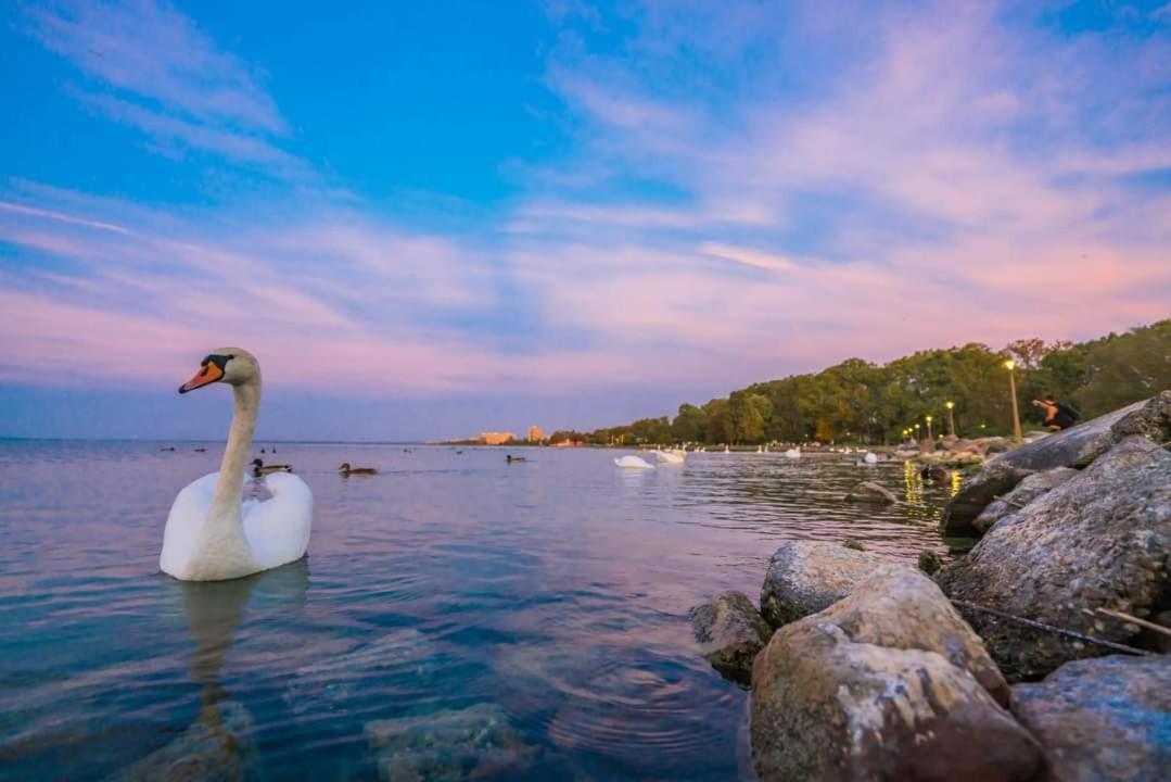 Balaton Wellness Apartman Siofok Luaran gambar