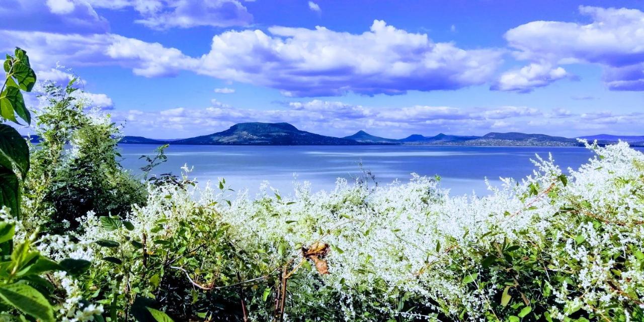 Balaton Wellness Apartman Siofok Luaran gambar